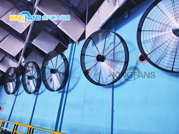 從悶熱到清涼：金凡斯大尺寸工業(yè)璧扇點(diǎn)亮海洋公園觀(guān)豚體驗(yàn)